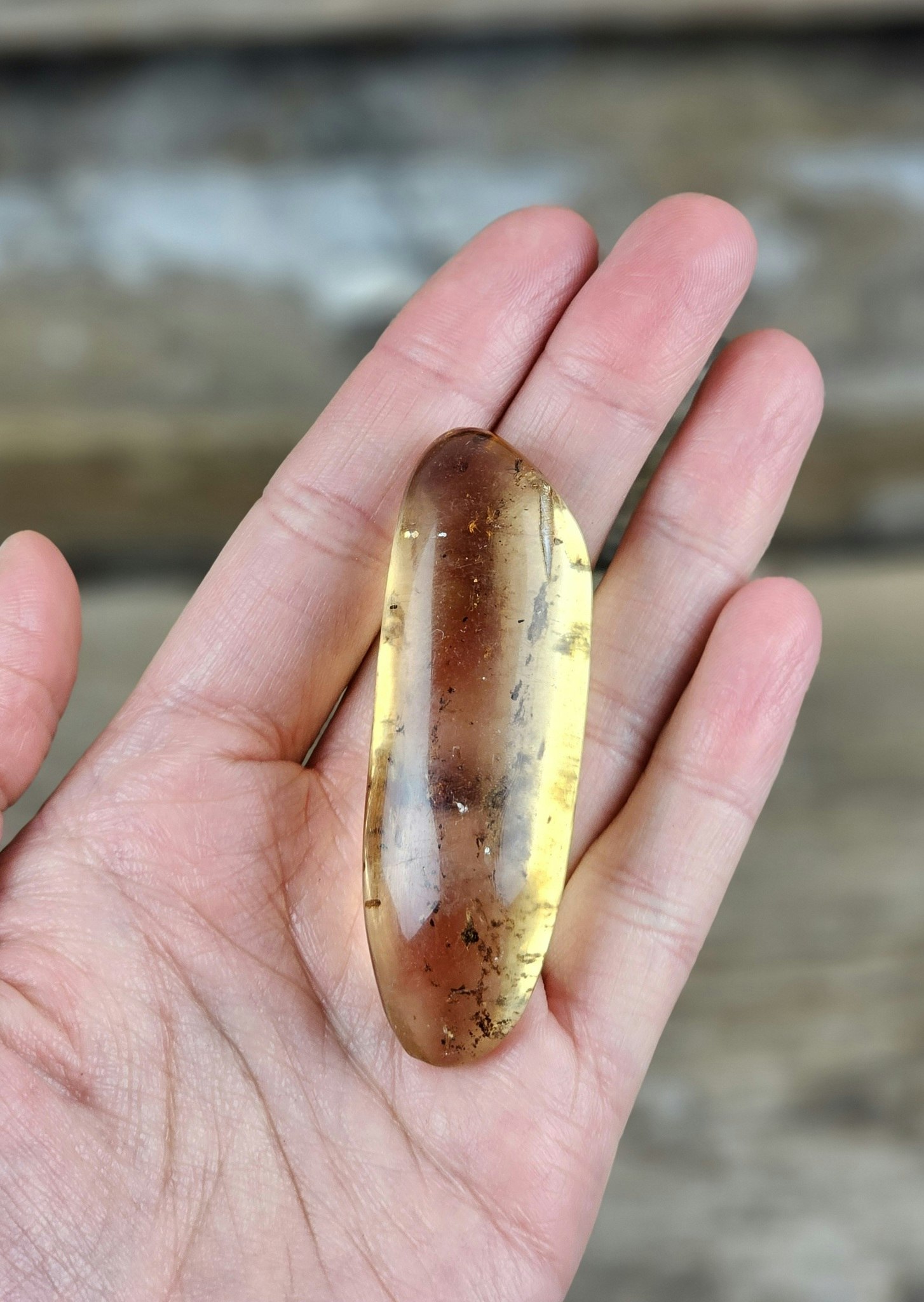 Copal med insekter #9