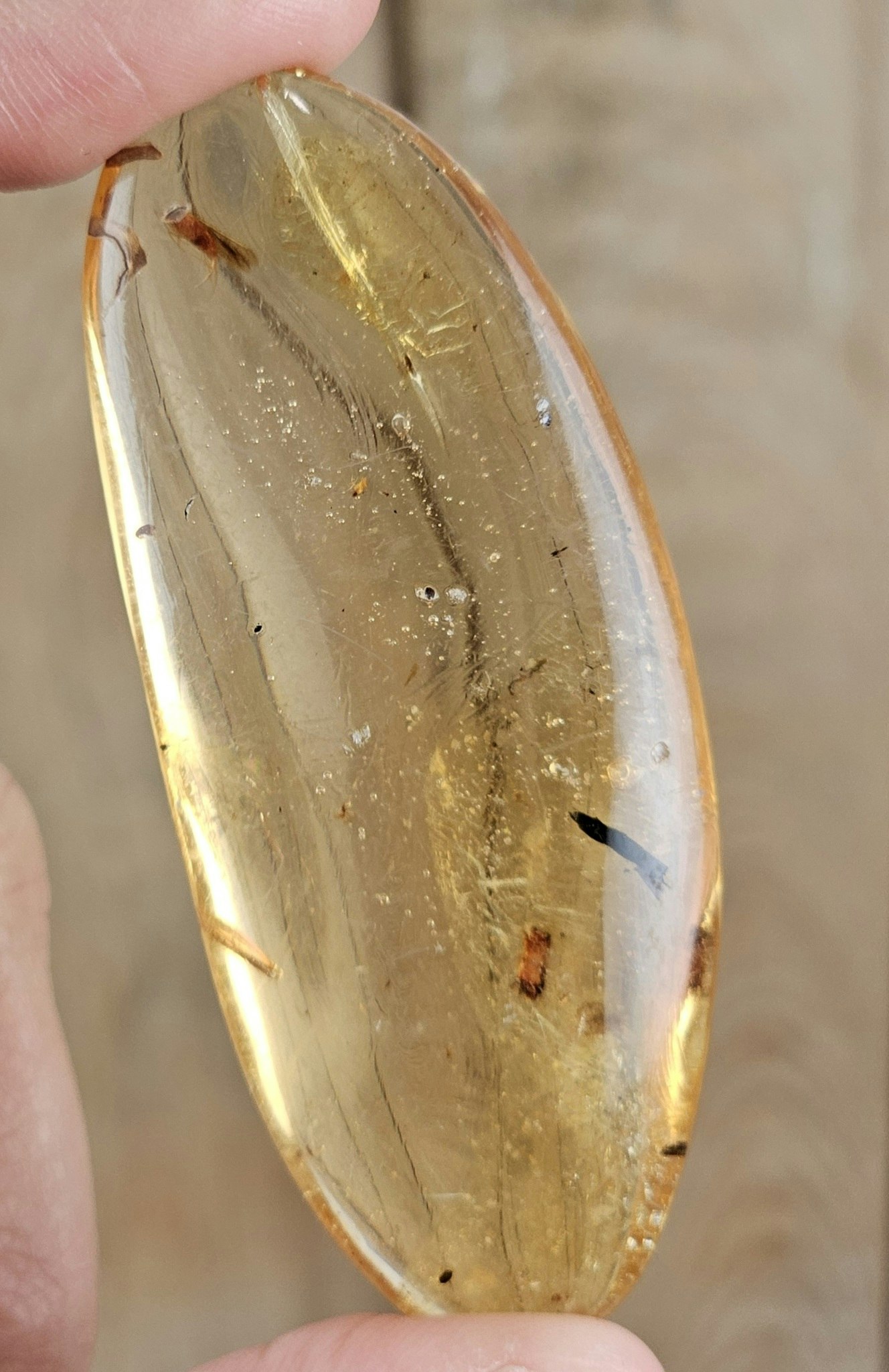 Copal med insekter #11
