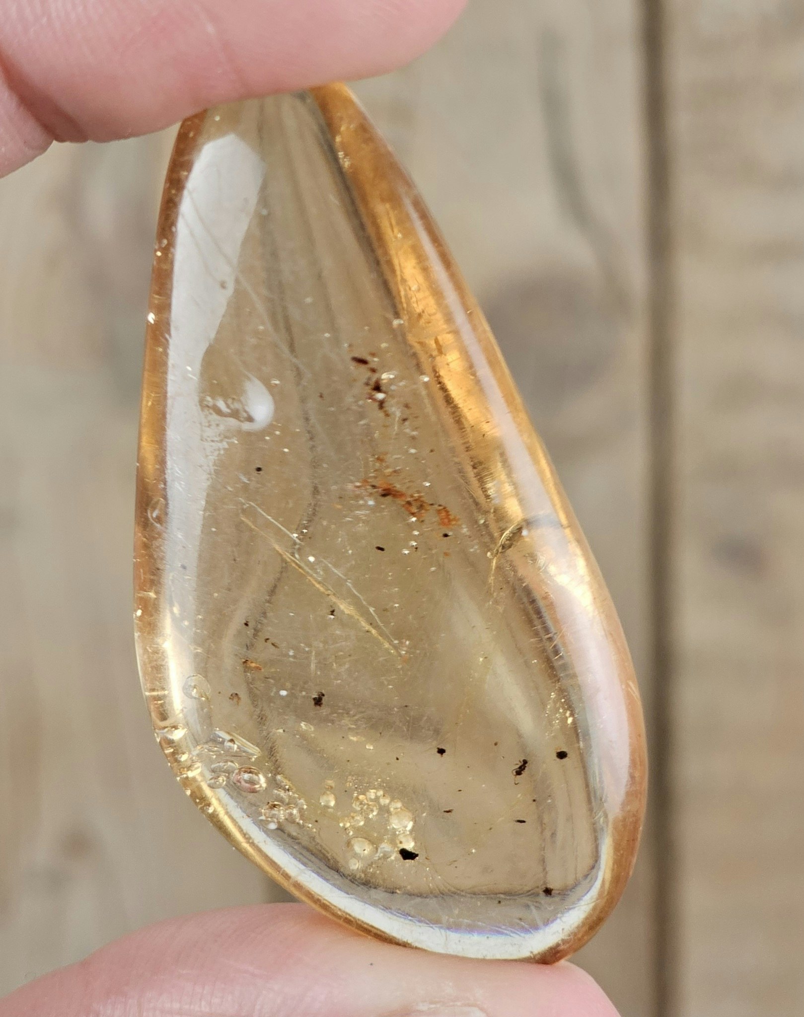 Copal med insekter #14