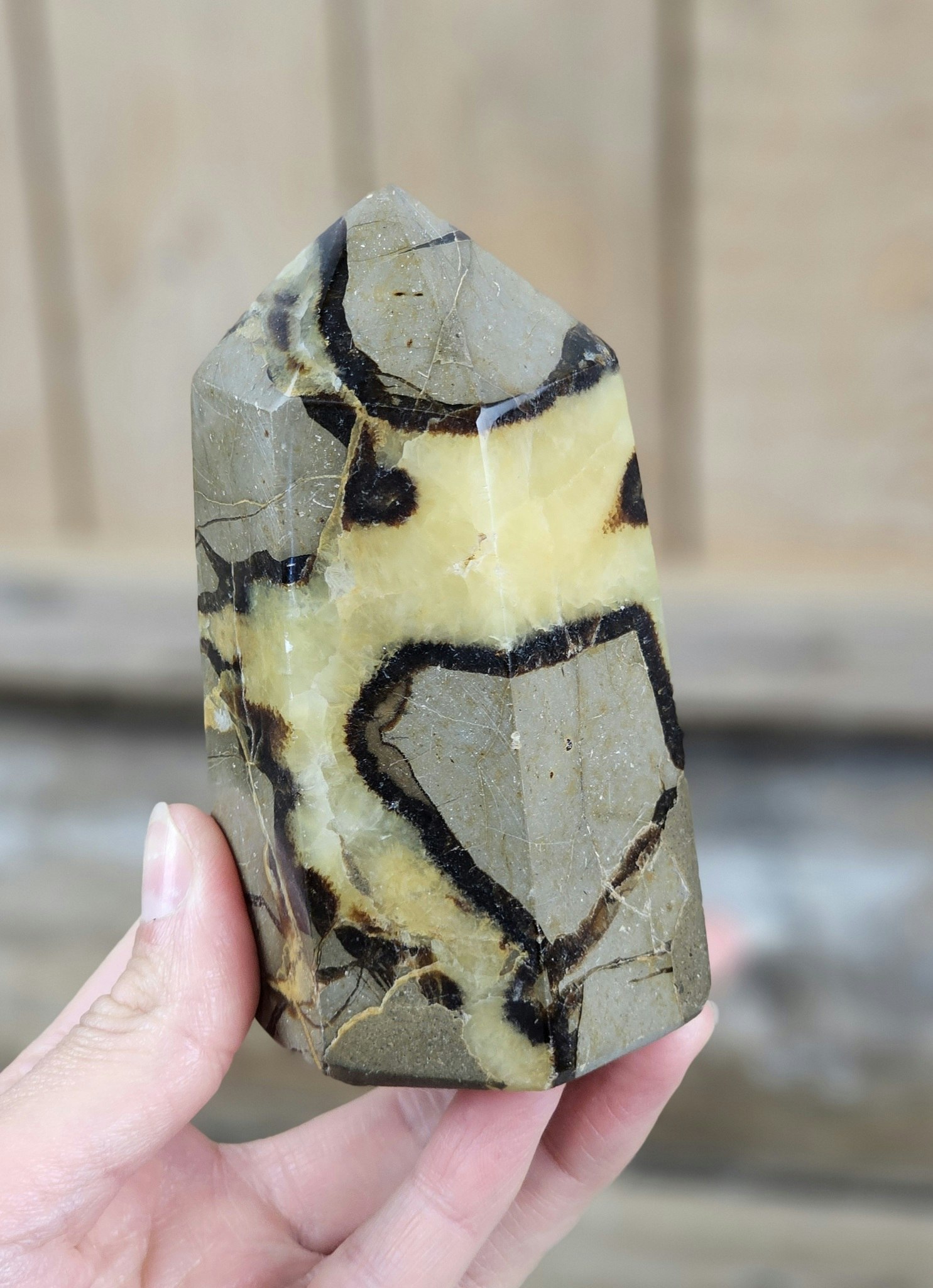 Septarian (Draksten), spets #3