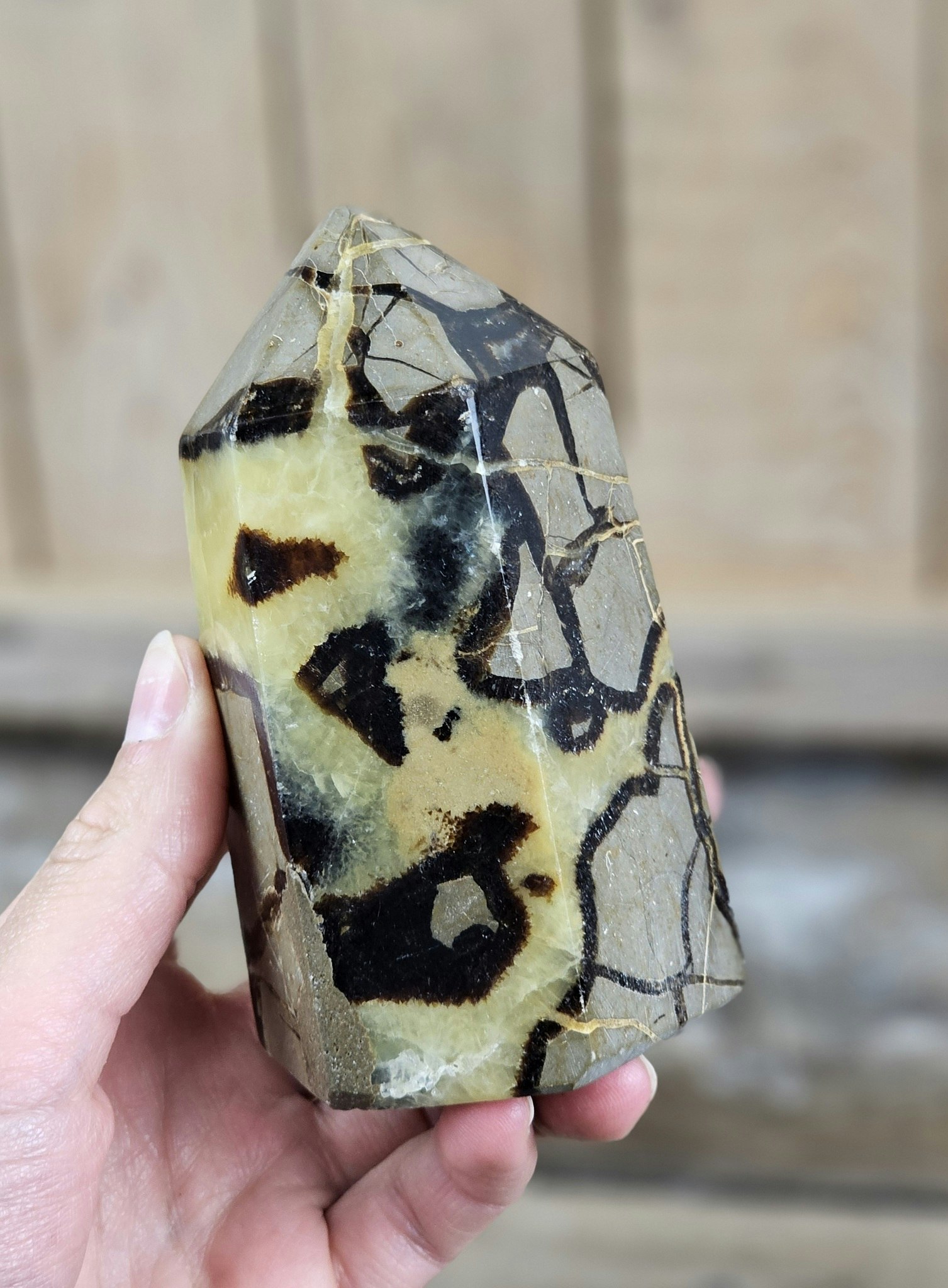 Septarian (Draksten), spets #3