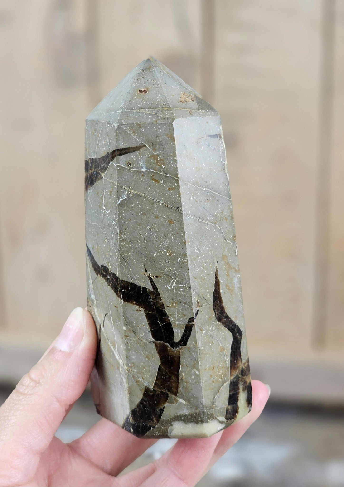 Septarian (Draksten), spets #2