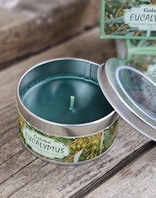 Goloka - Eucalyptus, doftljus 6h