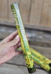 Padmini - Ylang Ylang, rökelsepinnar