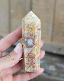 Crazy Lace Agat, spets #6
