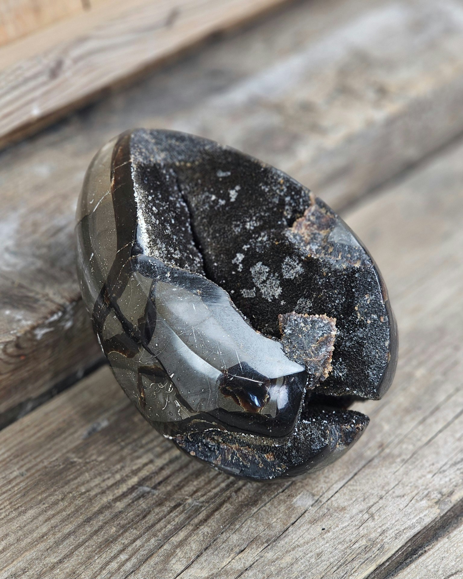 Septarian (Draksten) Ägg, XL polerad #4