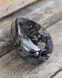 Septarian (Draksten) Ägg, XL polerad #4