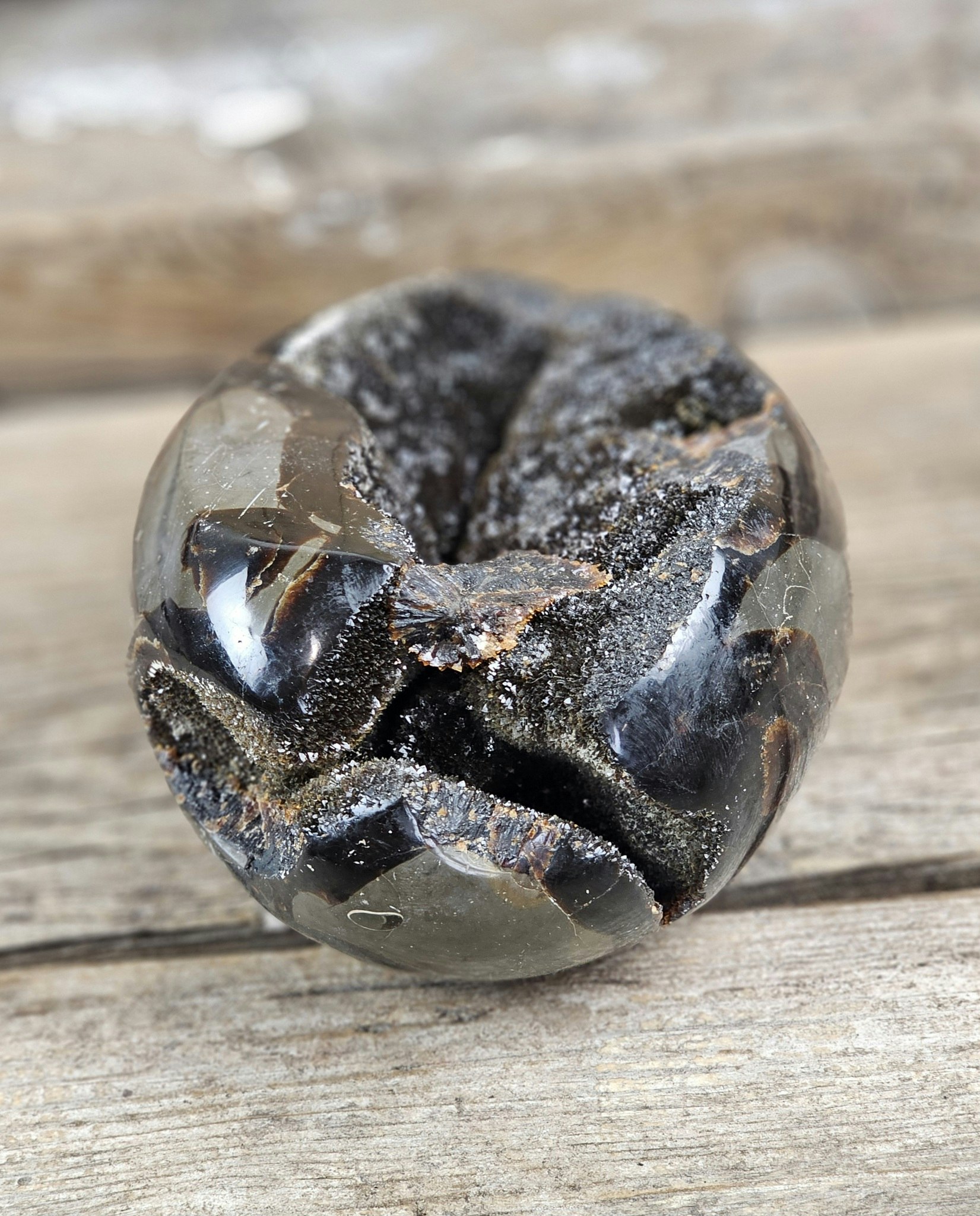 Septarian (Draksten) Ägg, XL polerad #4