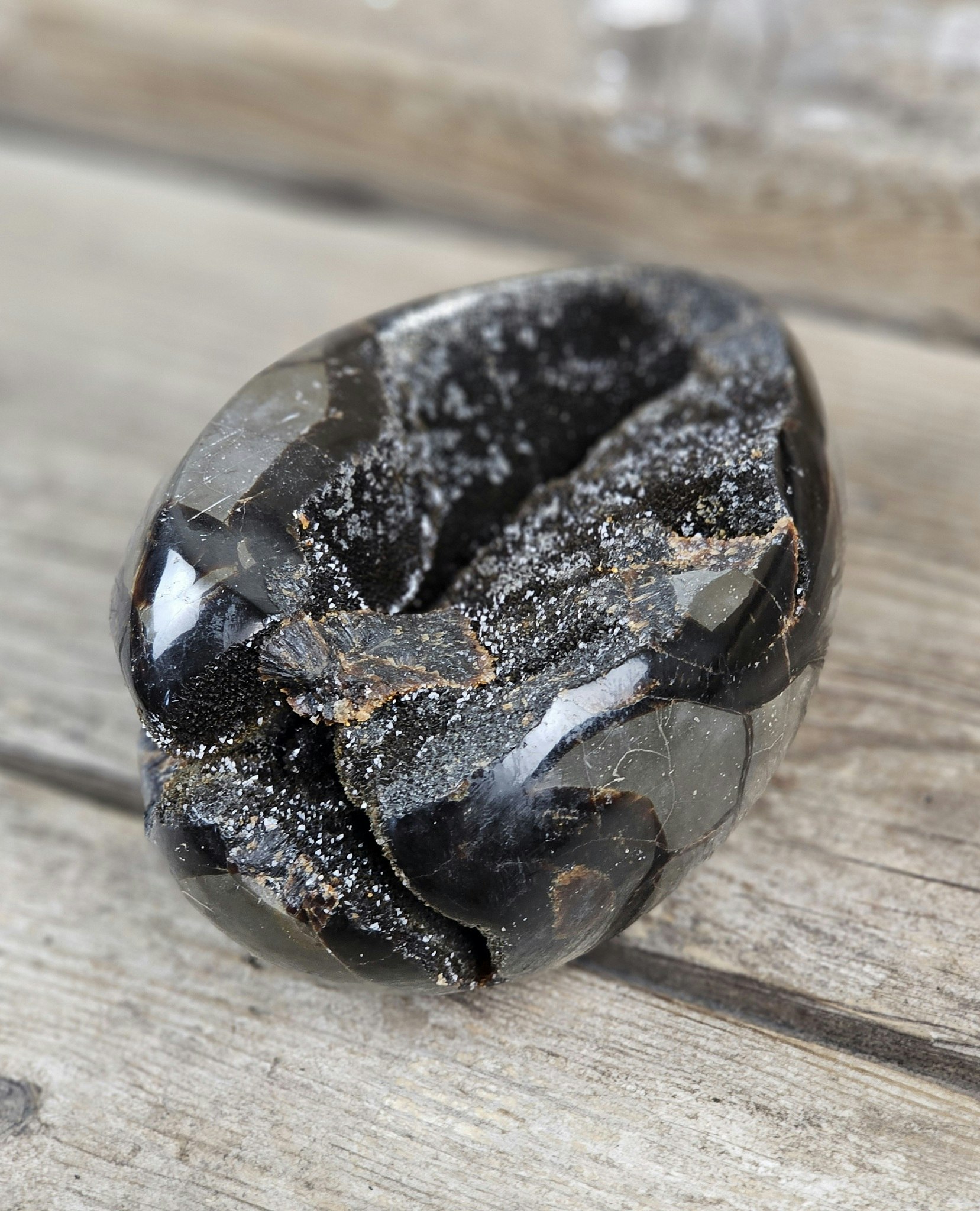 Septarian (Draksten) Ägg, XL polerad #4
