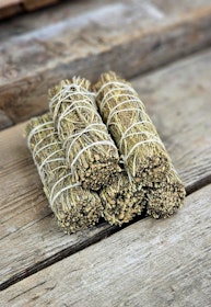 Ökensalvia