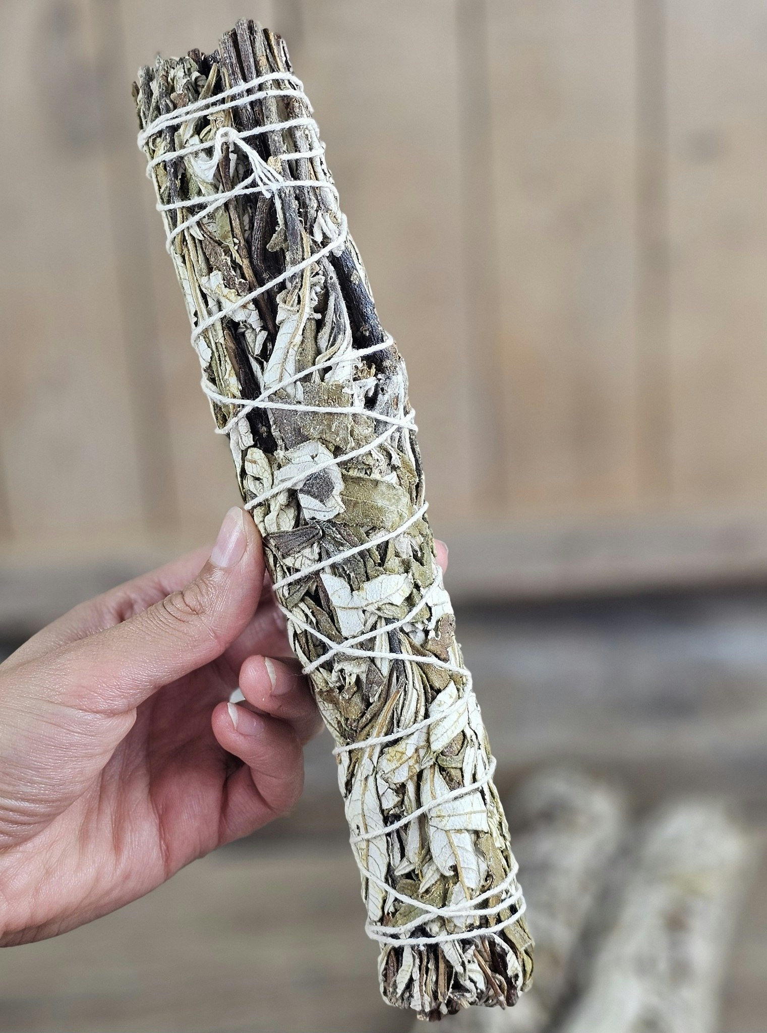 Yerba Santa (Helig ört), extra stor