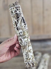 Yerba Santa (Helig ört), extra stor