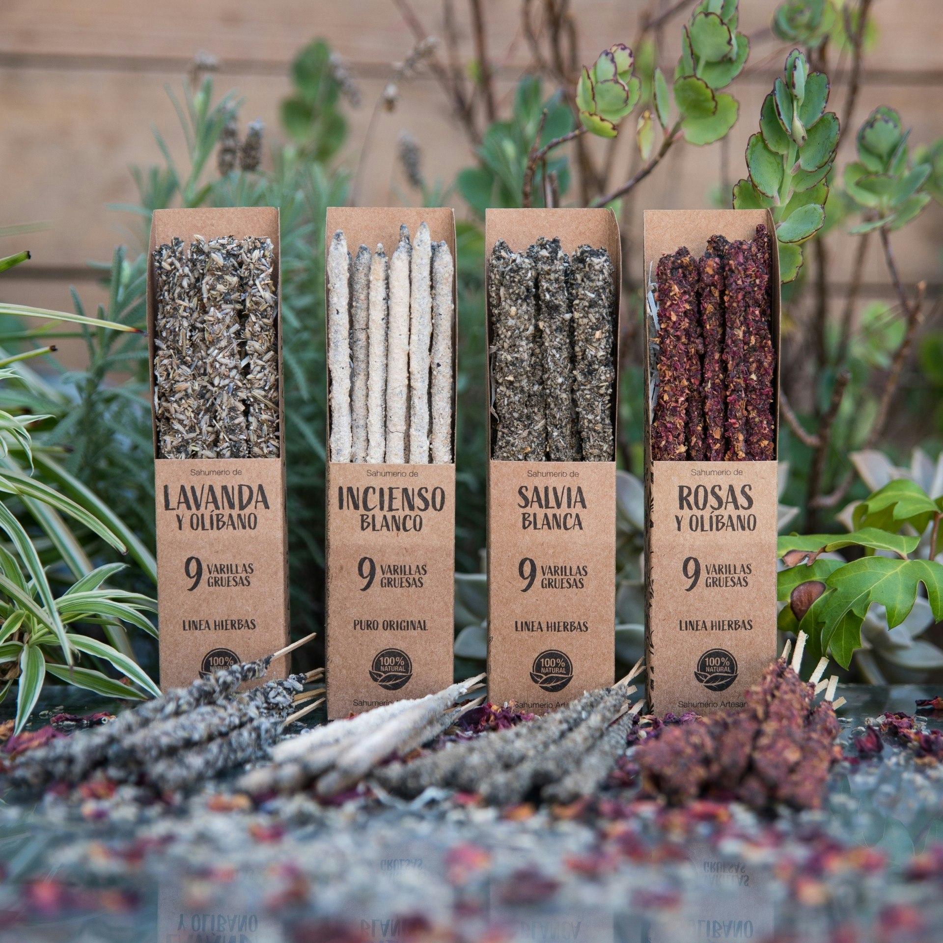 Sagrada Madre - Vit Frankincense (Olibanum), rökelsepinnar