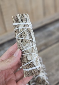 Vit Salvia med Timjan