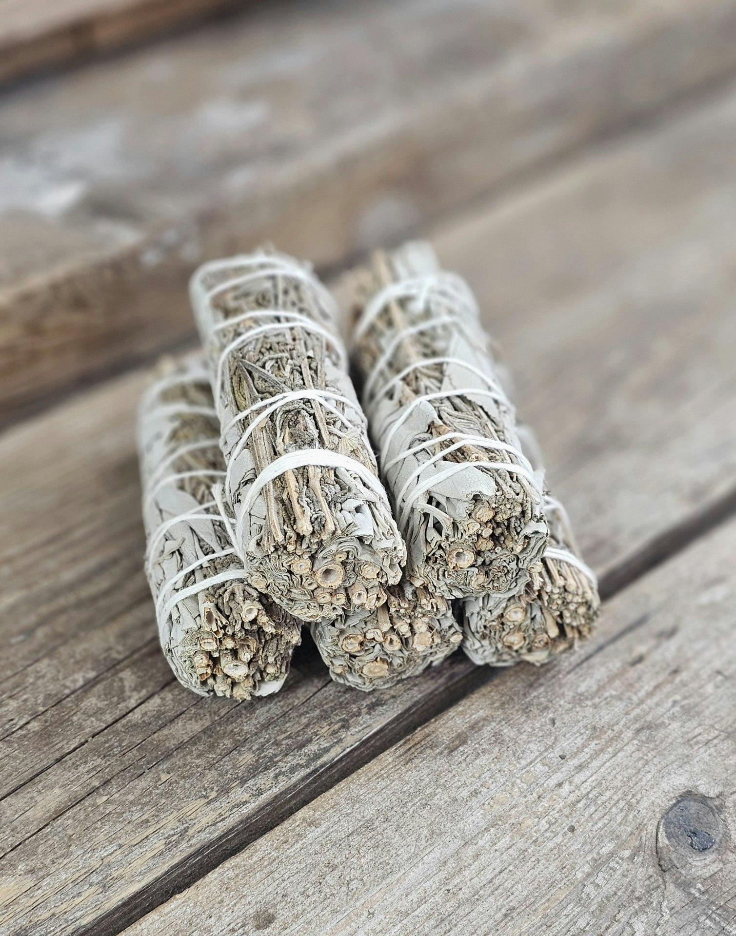 Vit Salvia med Lavendel