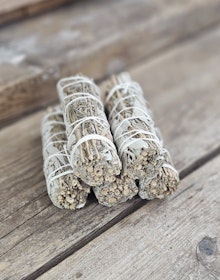 Vit Salvia med Lavendel