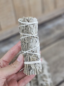Vit Salvia med Lavendel