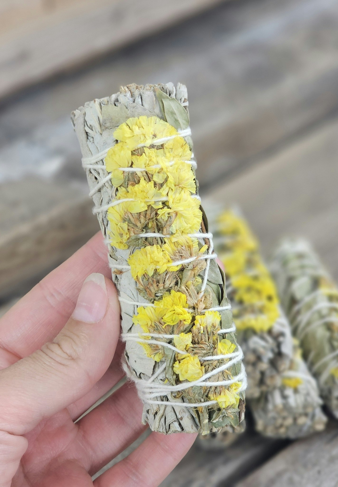 Vit Salvia med gula blommor
