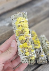 Vit Salvia med gula blommor