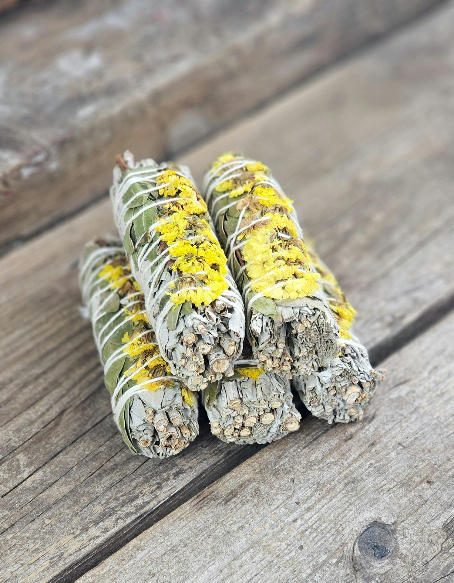 Vit Salvia med gula blommor