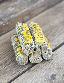 Vit Salvia med gula blommor
