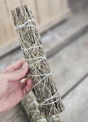 Rosmarin, extra stor bunt