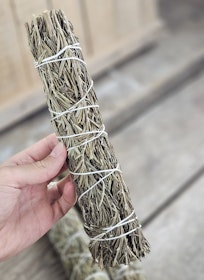 Rosmarin, extra stor bunt