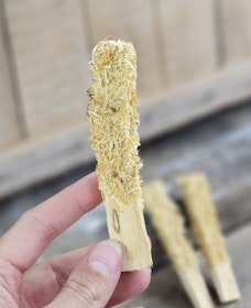 Palo Santo (Heligt trä), smudge med Ringblomma