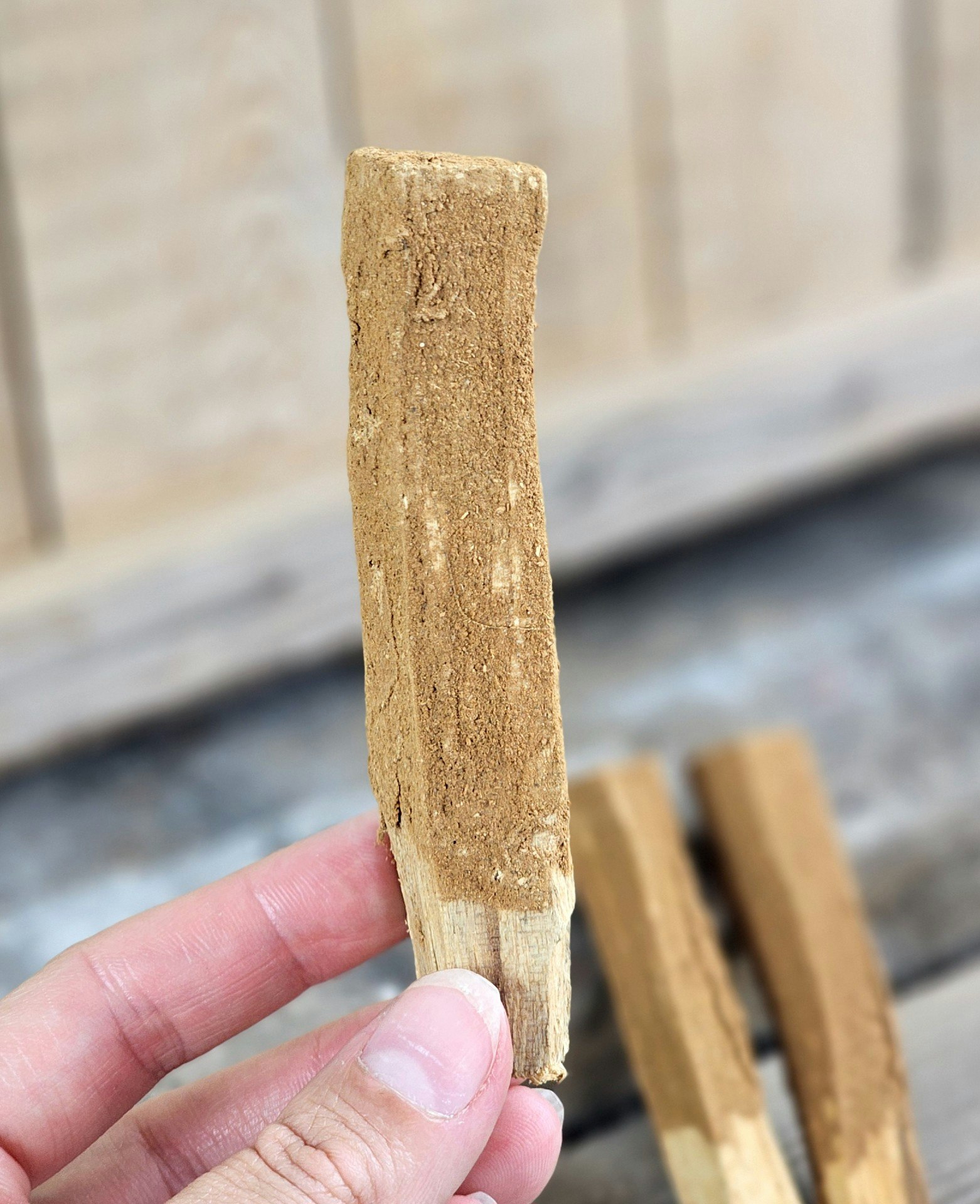 Palo Santo (Heligt trä), smudge med Kanel
