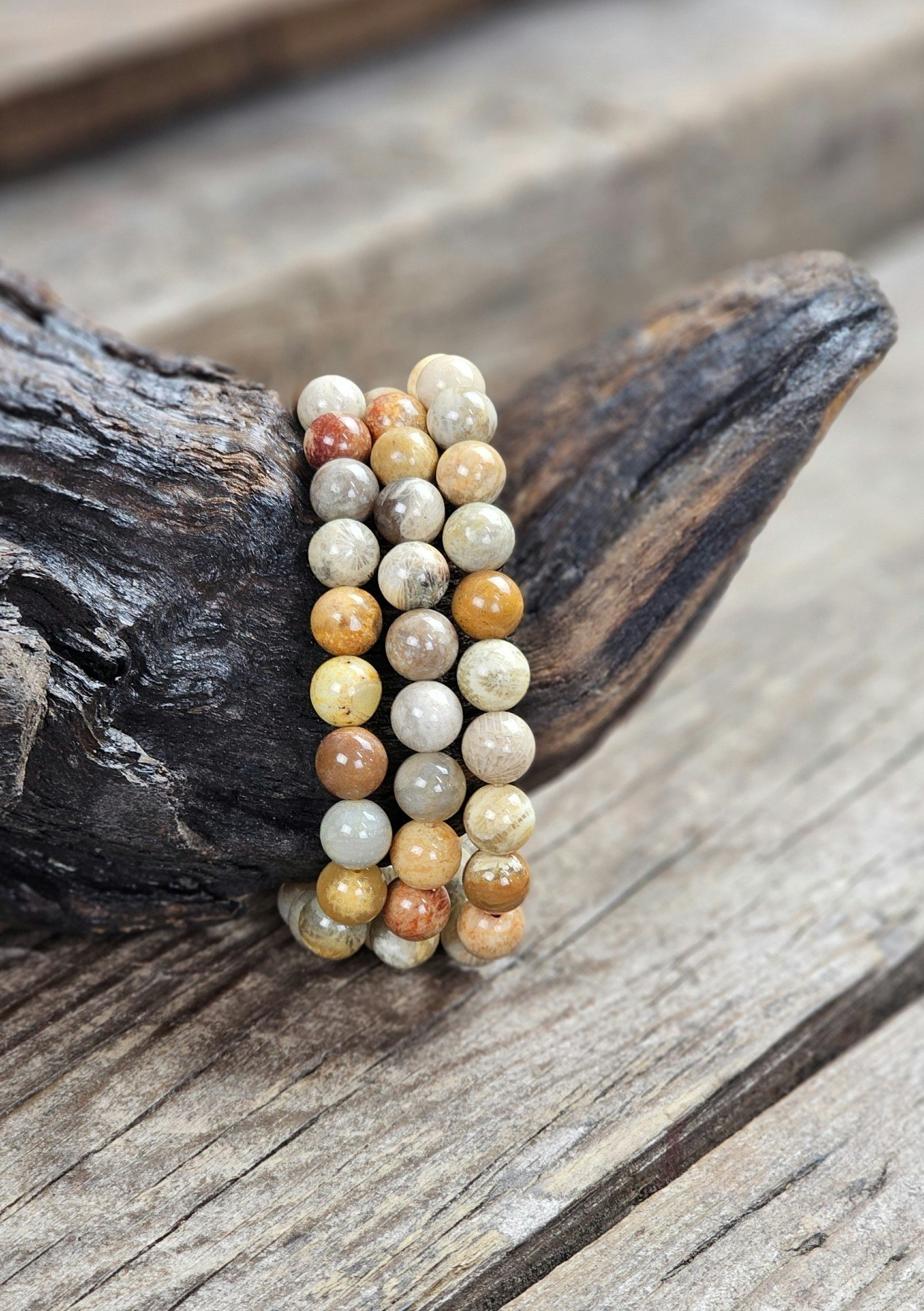 Korall Fossil, armband 8mm runda pärlor