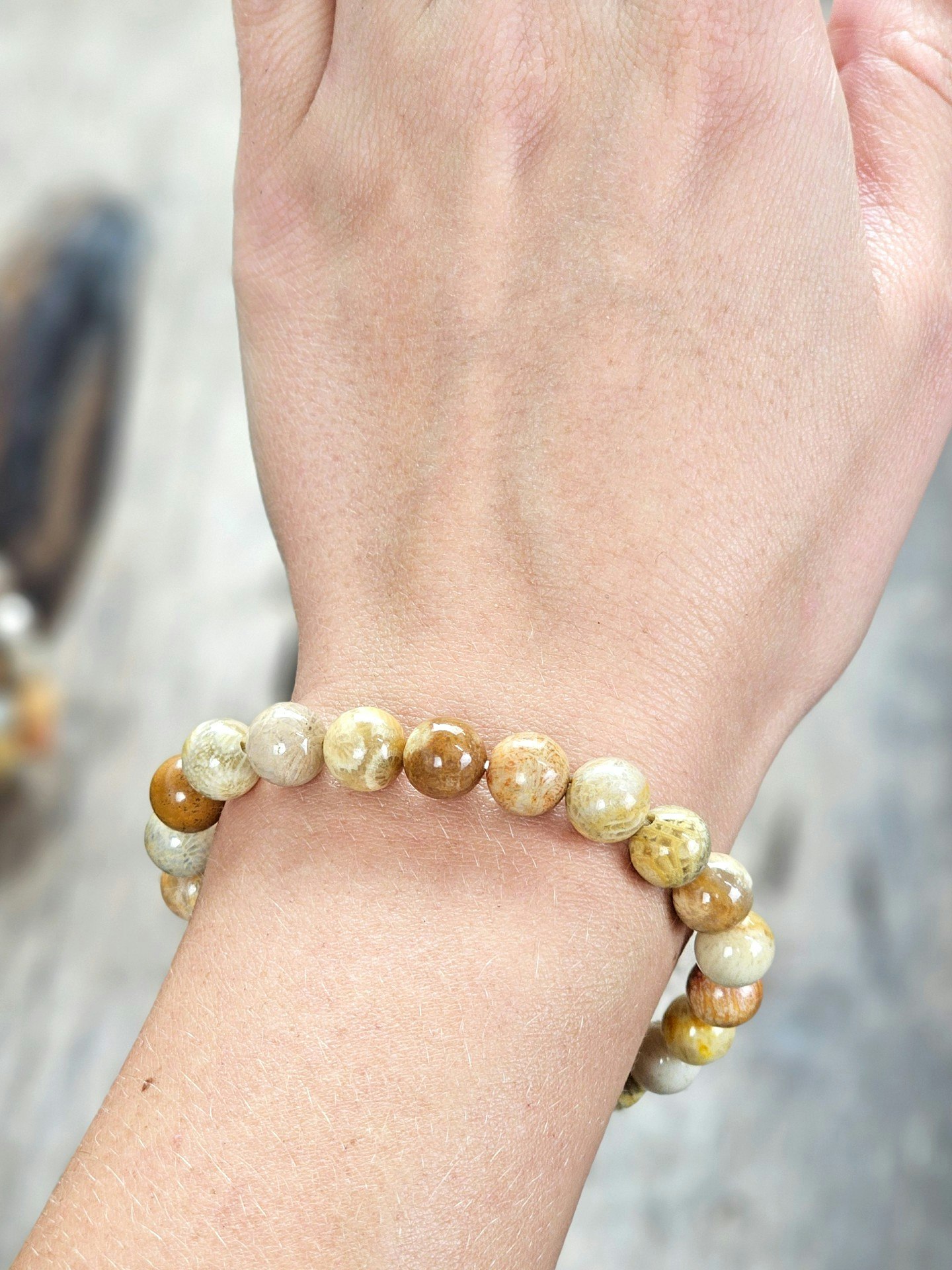Korall Fossil, armband 8mm runda pärlor