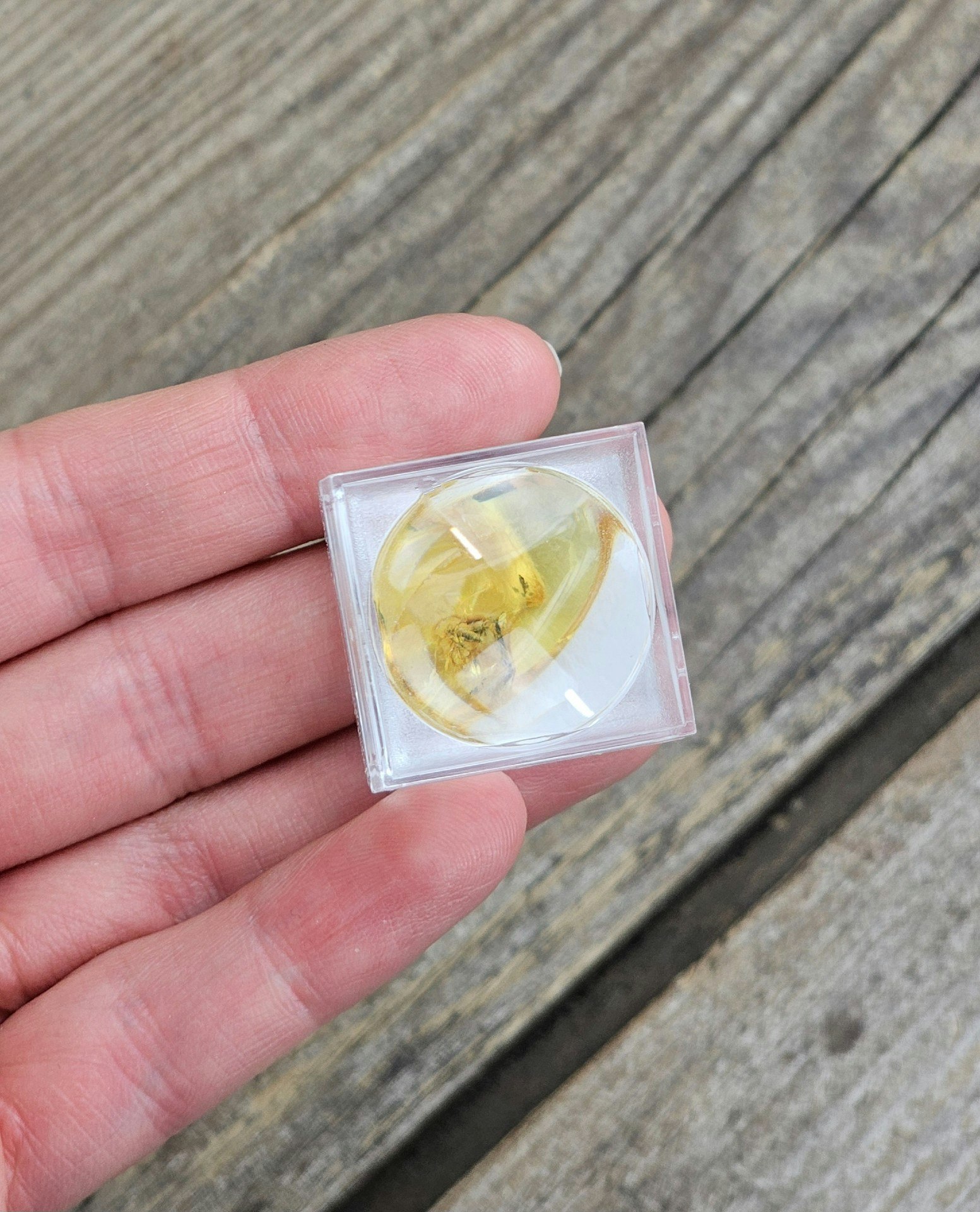 Bärnsten med insekt #1
