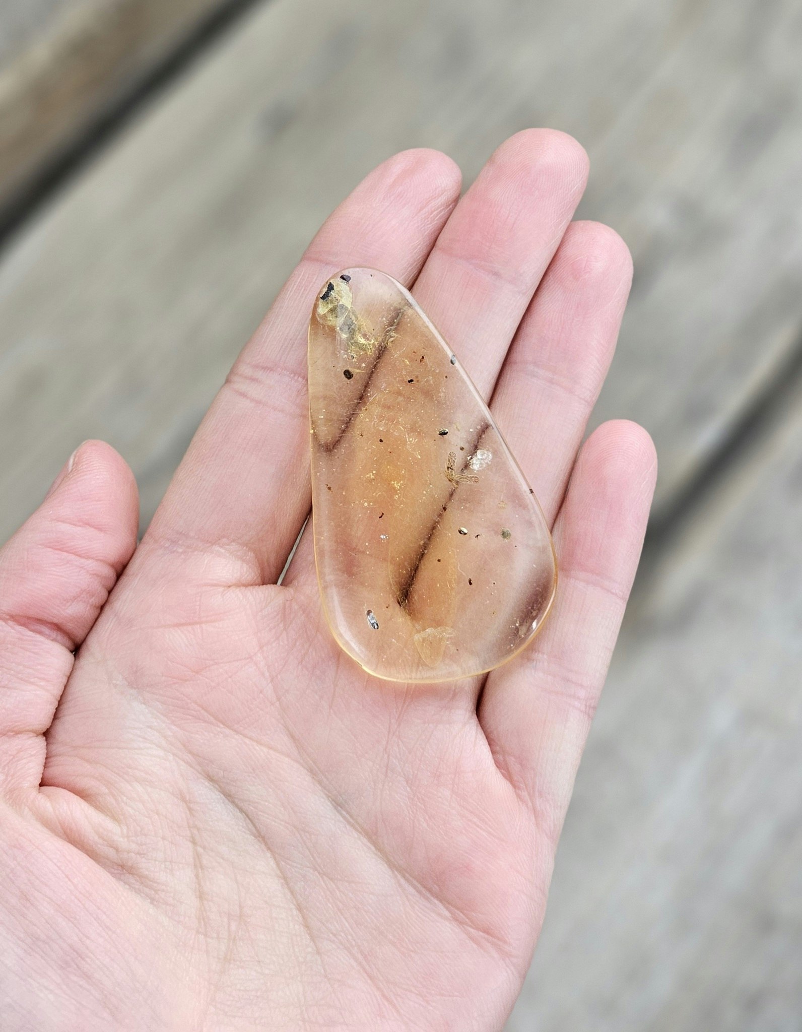 Copal med insekter #4