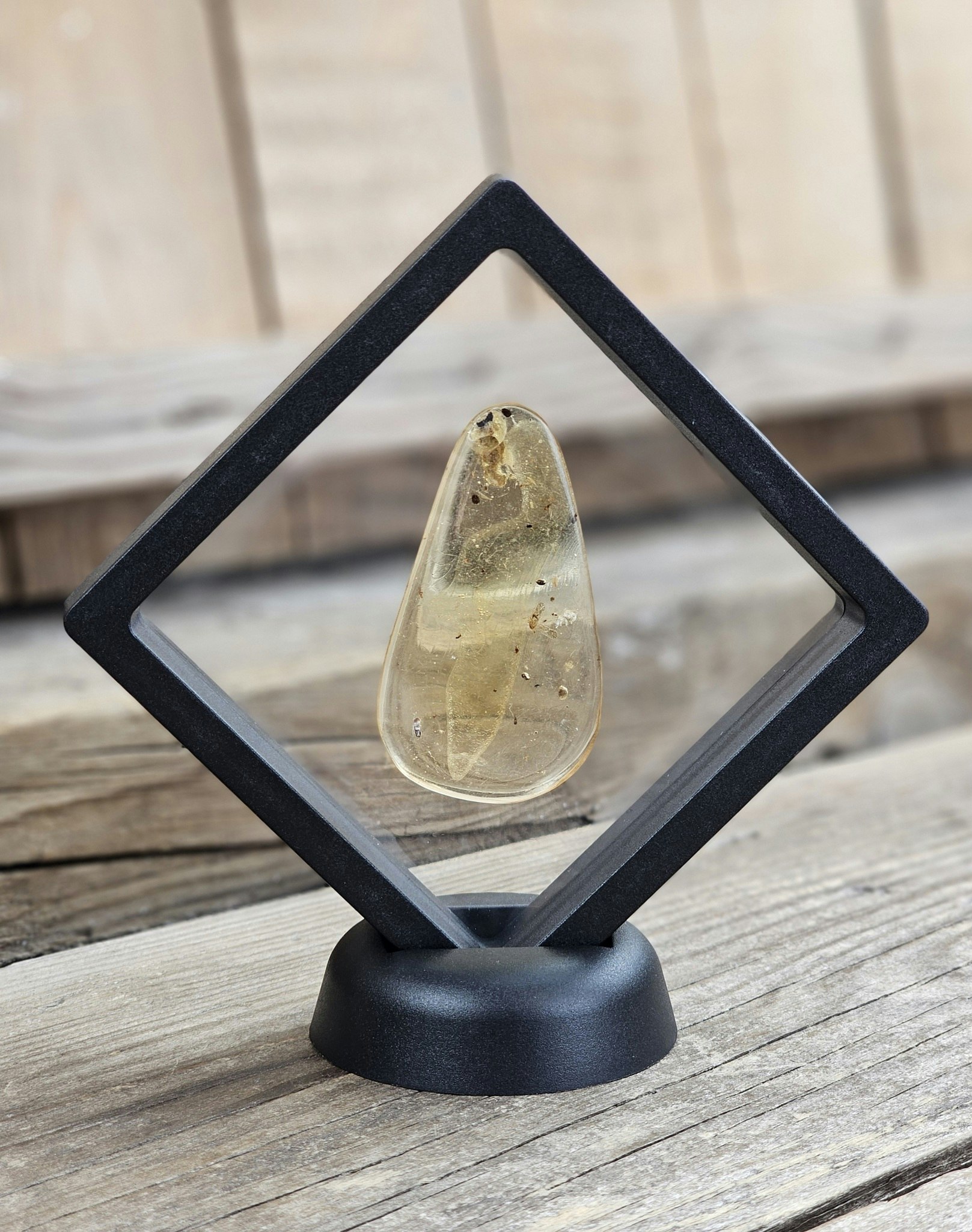 Copal med insekter #4