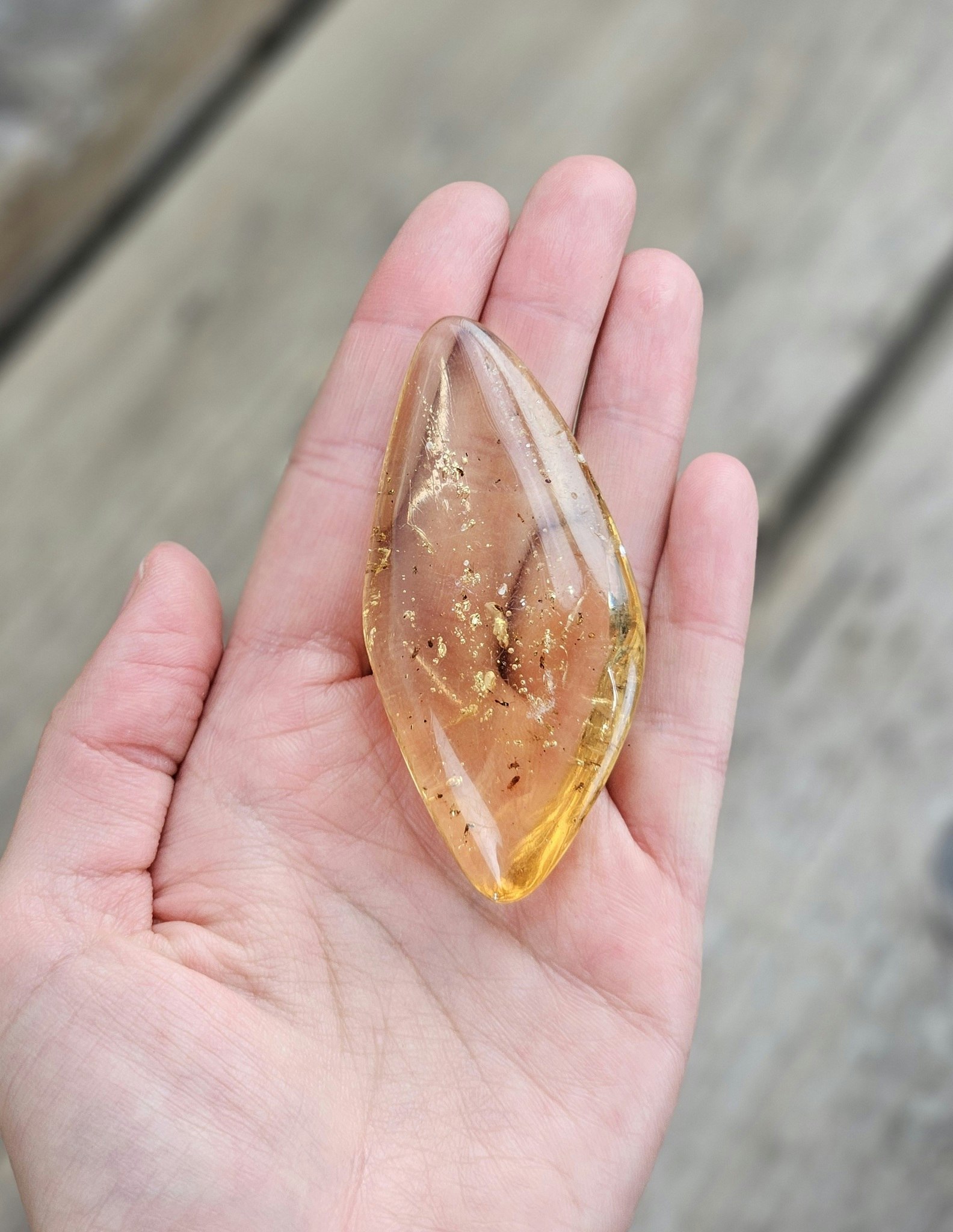 Copal med insekter #7