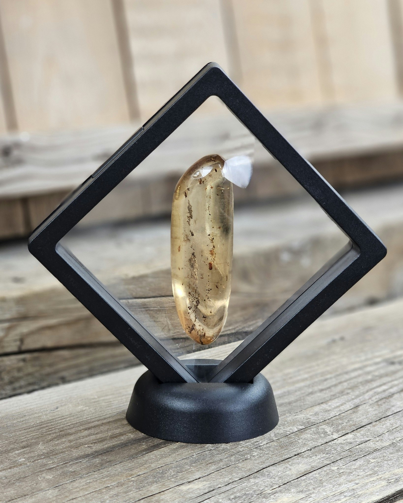 Copal med insekter #9