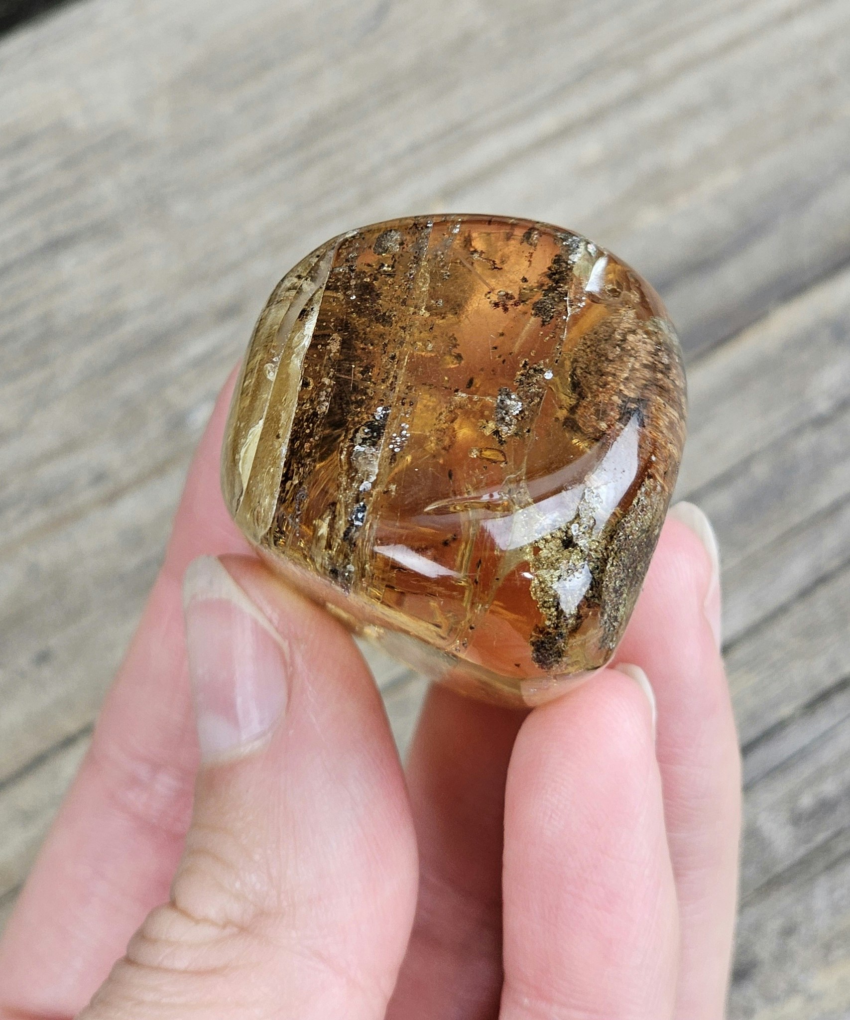 Copal med insekter #10