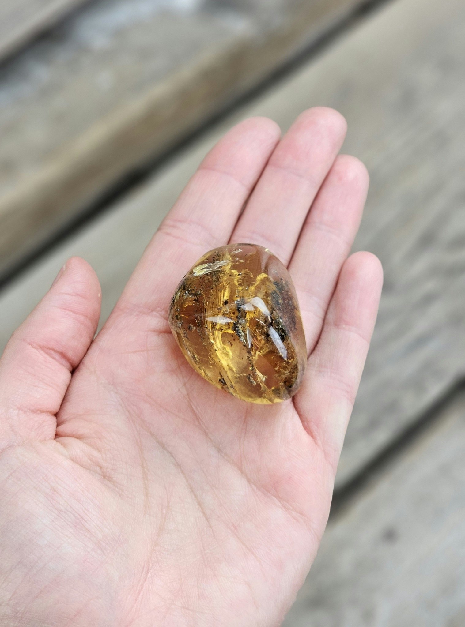 Copal med insekter #10