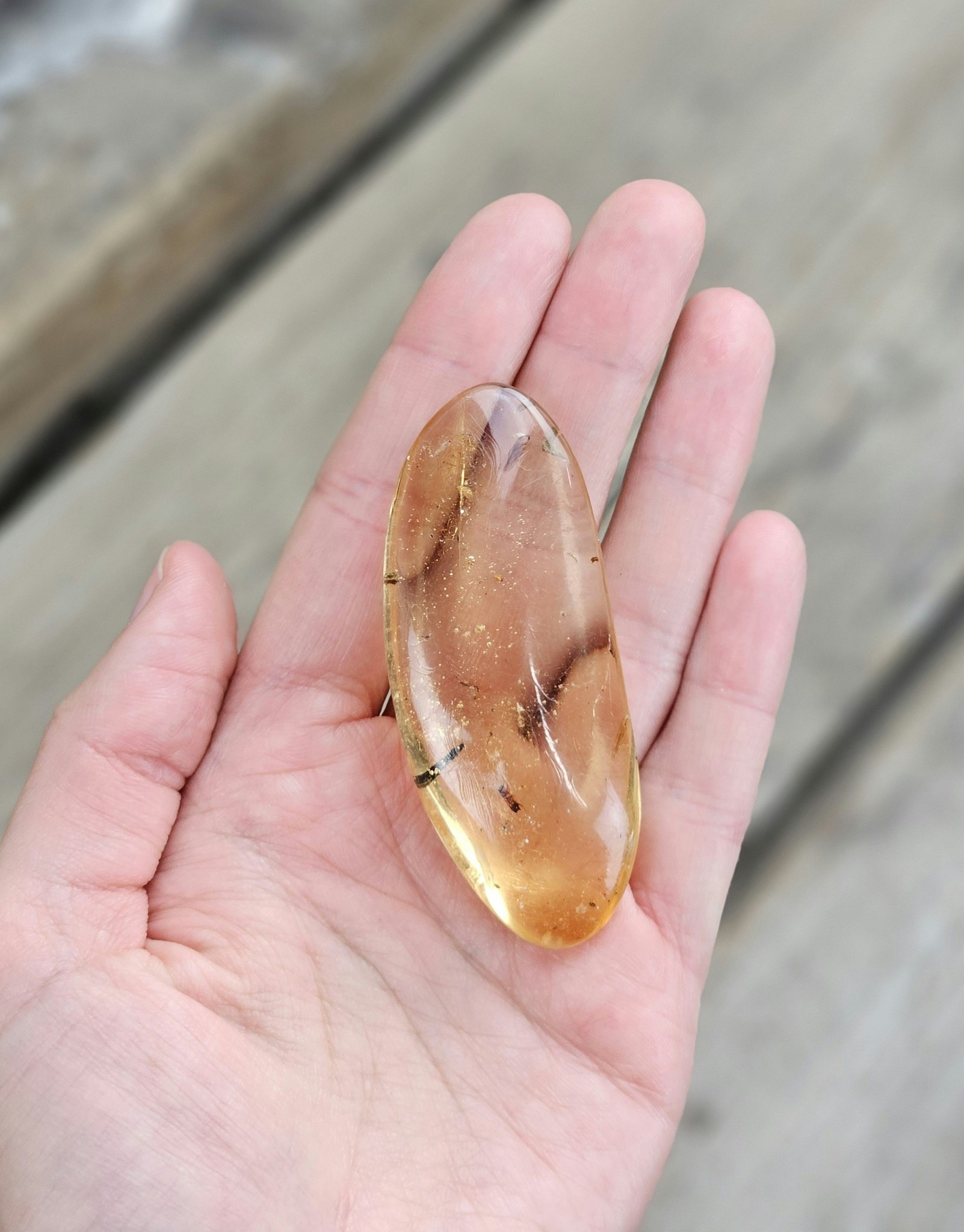 Copal med insekter #11