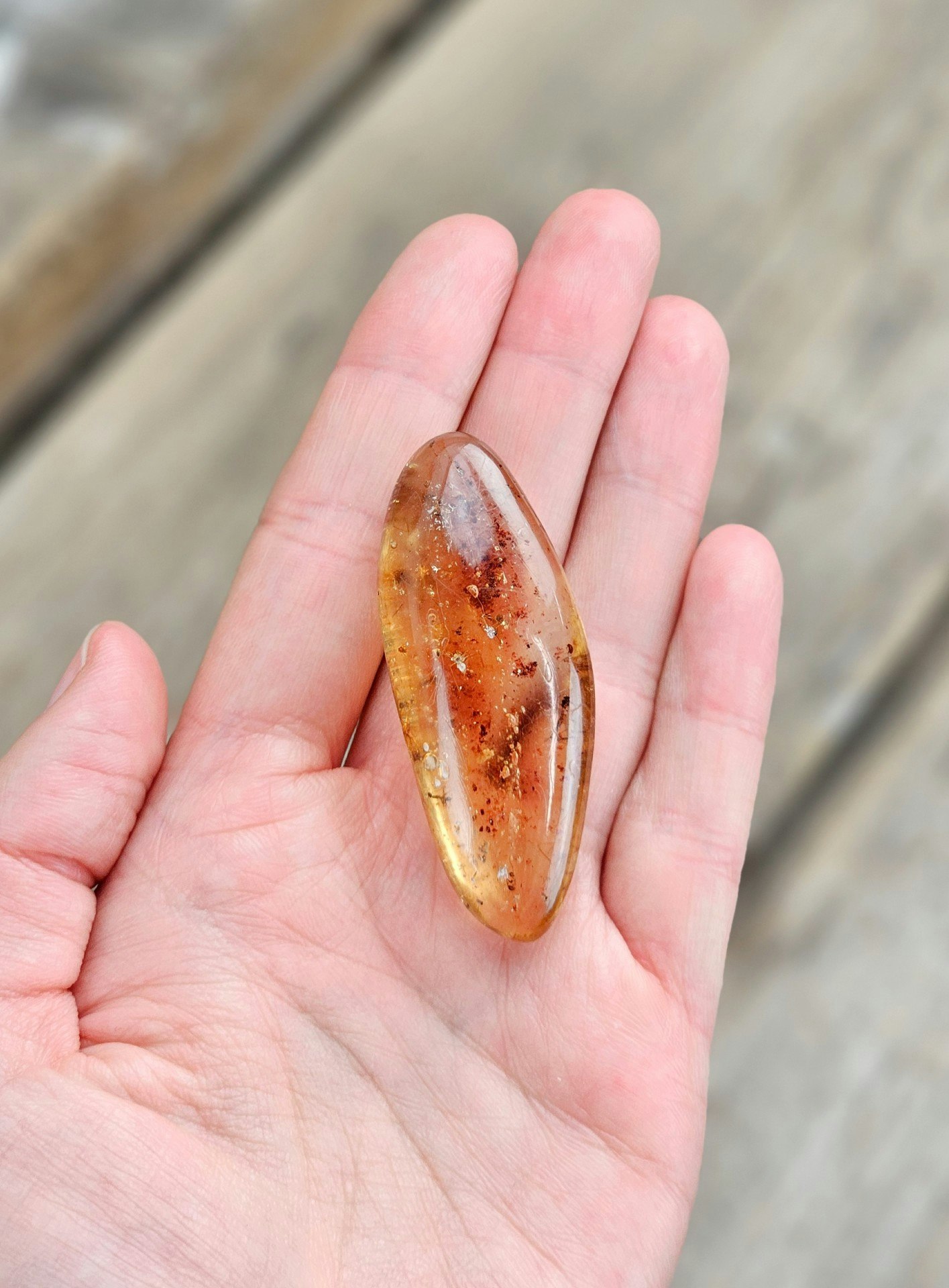 Copal med insekter #12