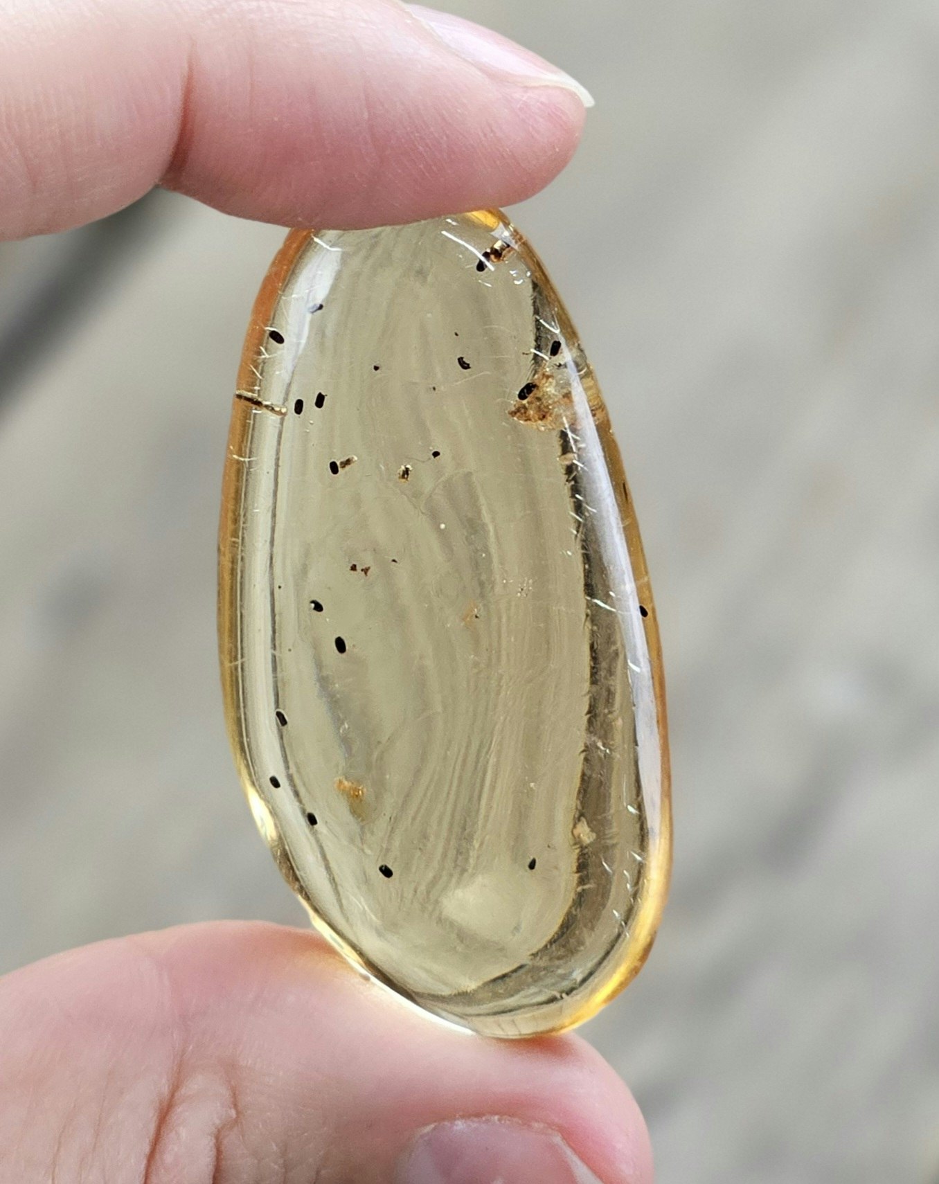 Copal med insekter #13