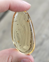 Copal med insekter #13
