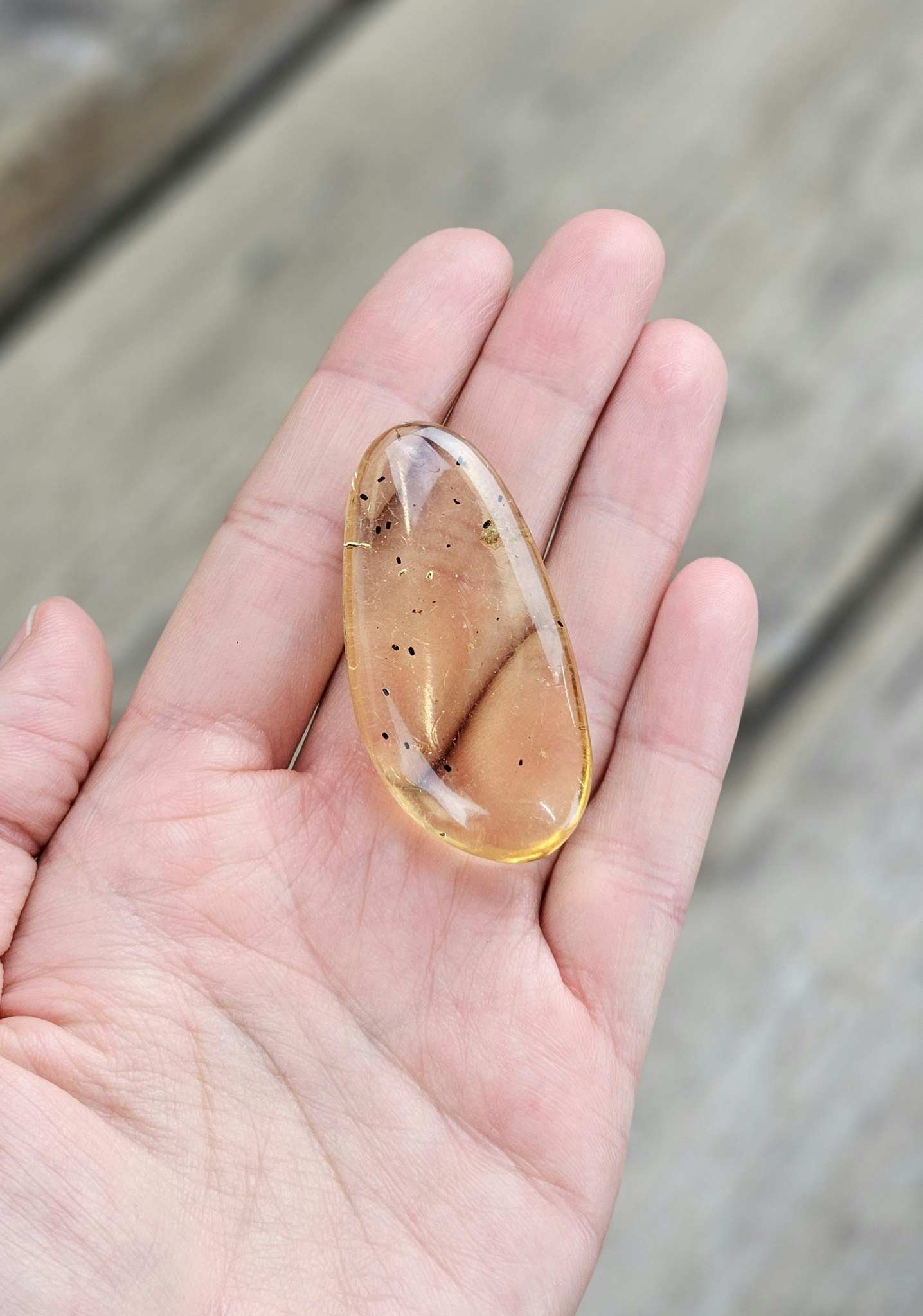 Copal med insekter #13