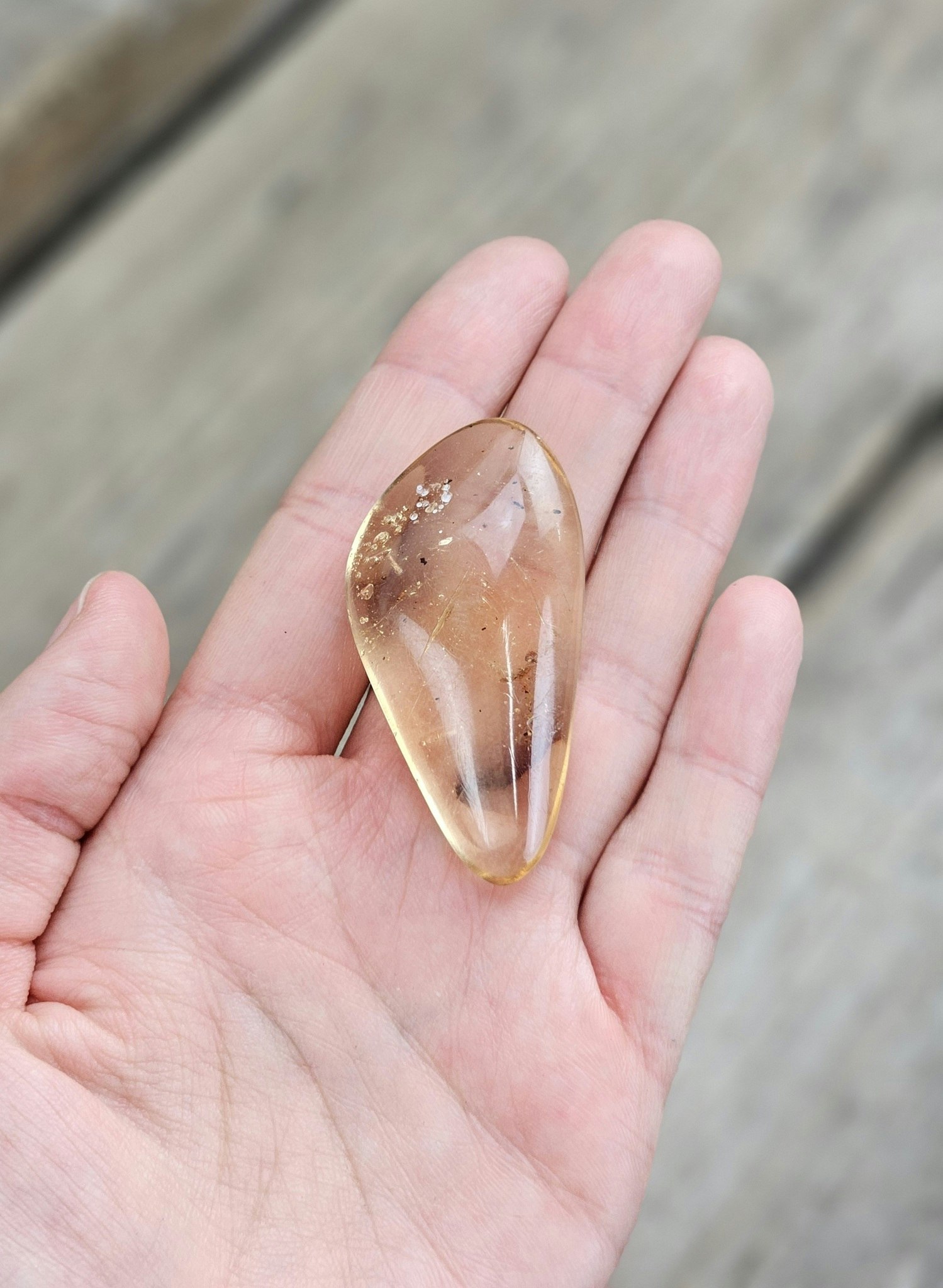 Copal med insekter #14