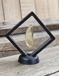 Copal med insekter #15