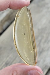 Copal med insekter #15