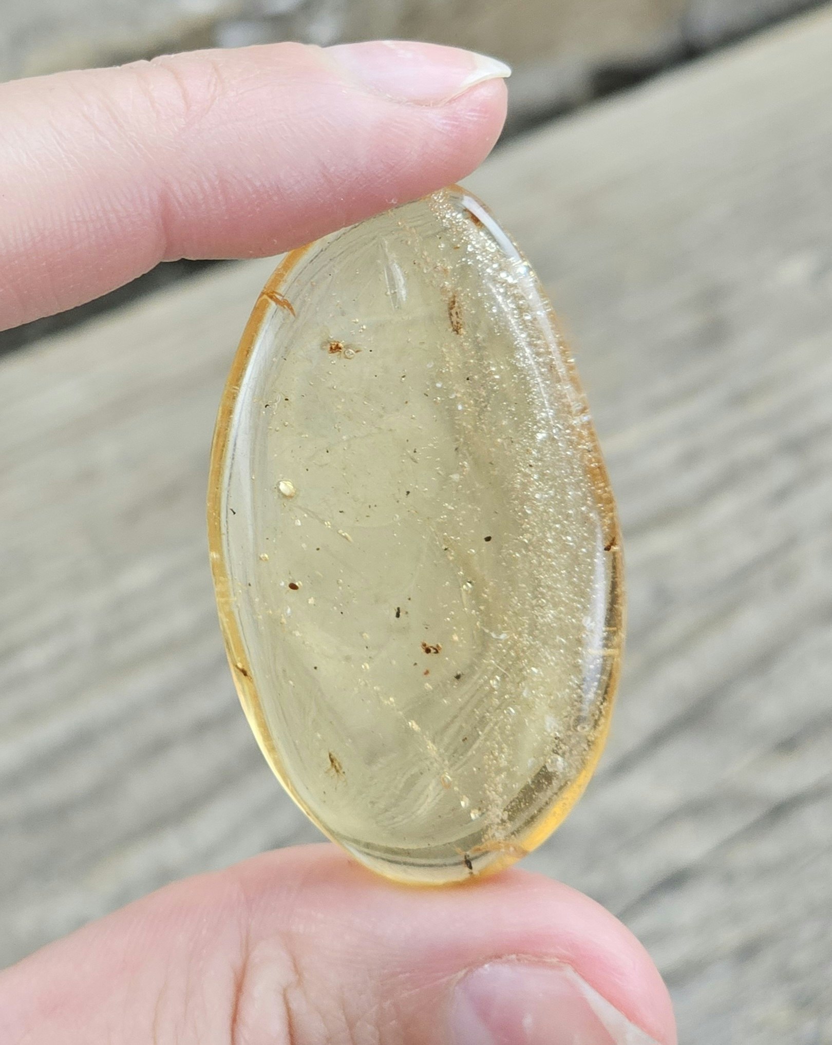 Copal med insekter #16