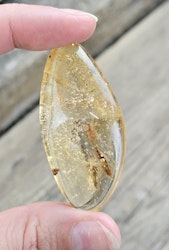 Copal med insekter #17