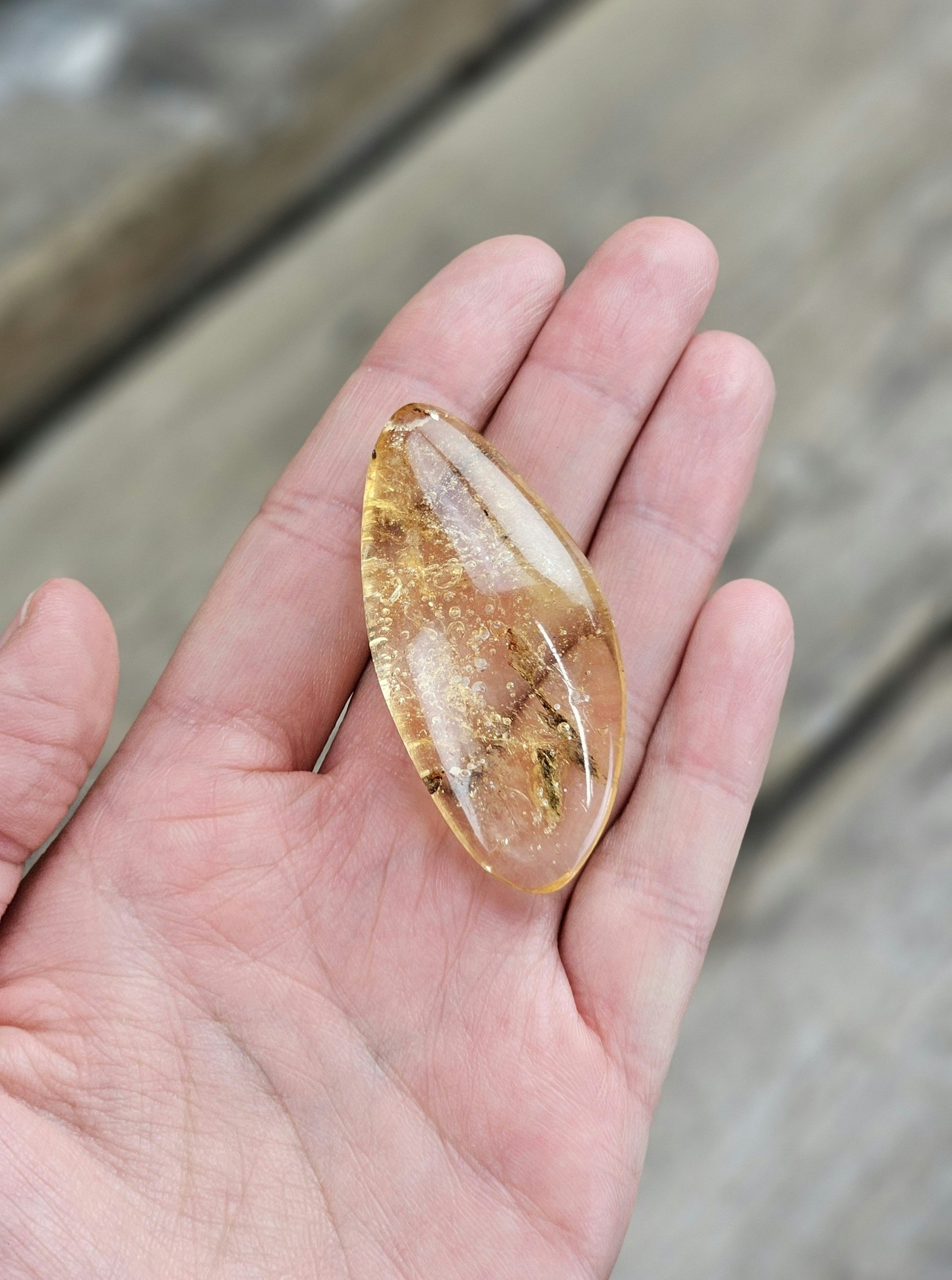 Copal med insekter #17