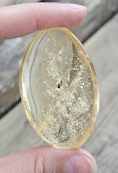 Copal med insekter #18